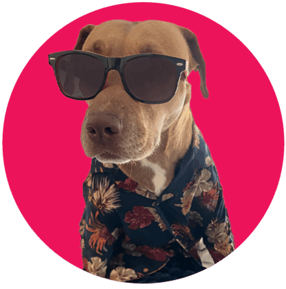 Soka Sands alternate logo, with dog in a Hawaiian jacket and sunglasses.